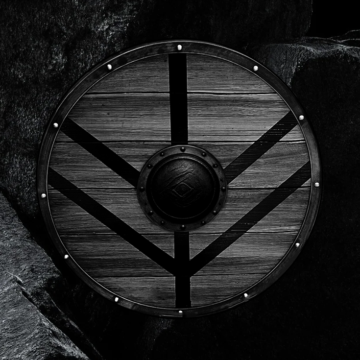 Echtes Wikinger-Schild aus massivem Holz – handgefertigt, schaukampftauglich, sichtbare Holzmaserung und robust mit Eisenbuckel. Authentischer Wikingerschild für Reenactment, Deko oder Kampf.
