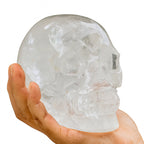Grosser Kristall-Totenkopf aus echtem Bergkristall (1500–1600 g) – gehalten in kräftiger Männerhand auf weissem Hintergrund. Handgeschliffener Kristallschädel, Symbol für Stärke, Energie, Klarheit und nordische Handwerkskunst.